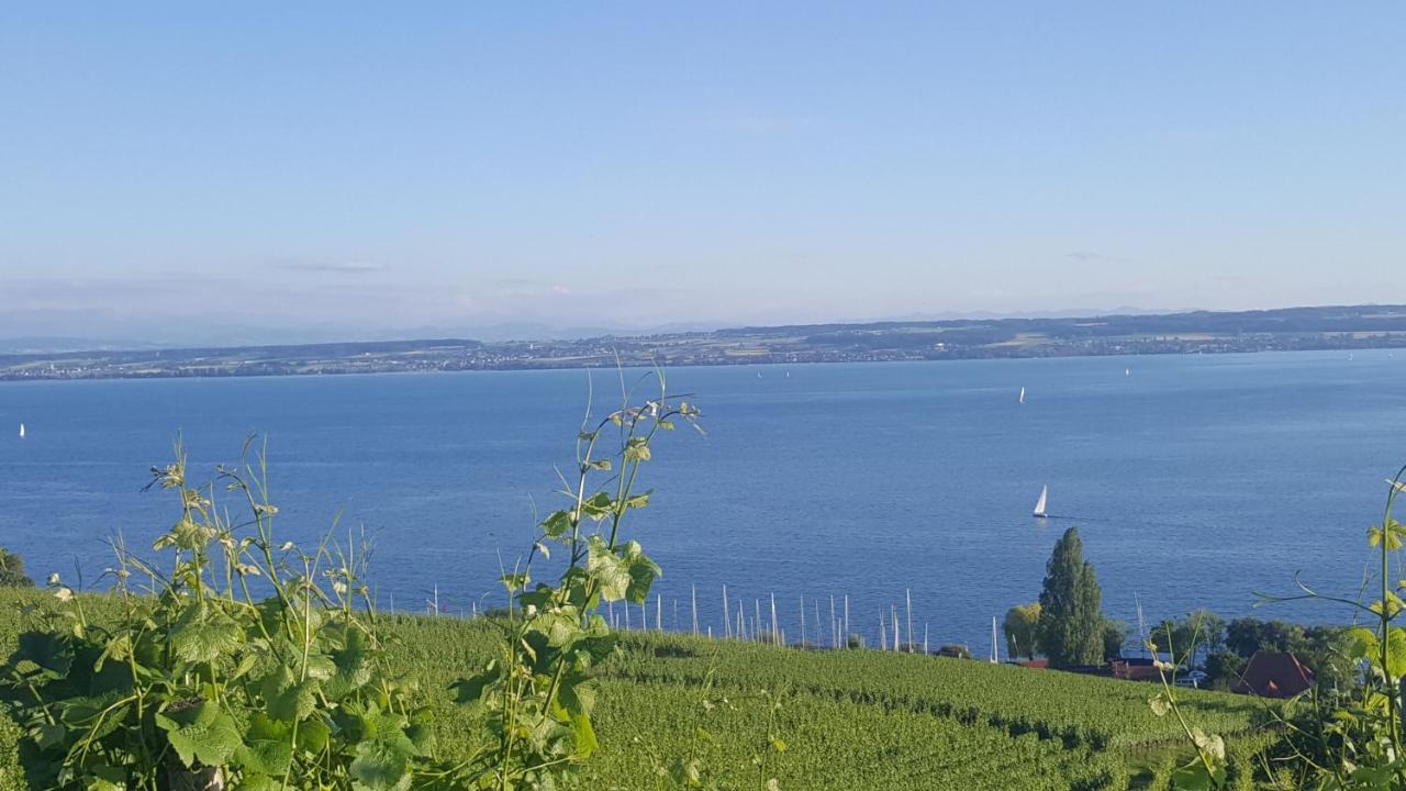 Studio Bodensee 达森多夫 外观 照片
